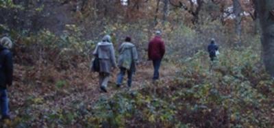 Beschrijving: DSC02638 group crossing the dark woods-300pix