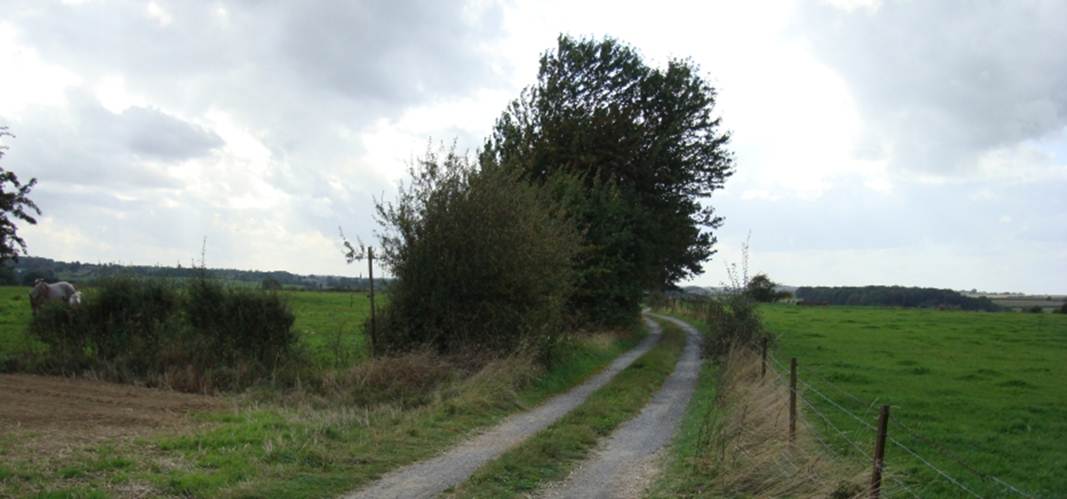 Beschrijving: Beschrijving: 20080907-R01642-la pierre qui roule-landscape-800pix-cropped